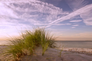 Ostsee-Düne im Abendlicht Ostsee-Düne im Abendlicht